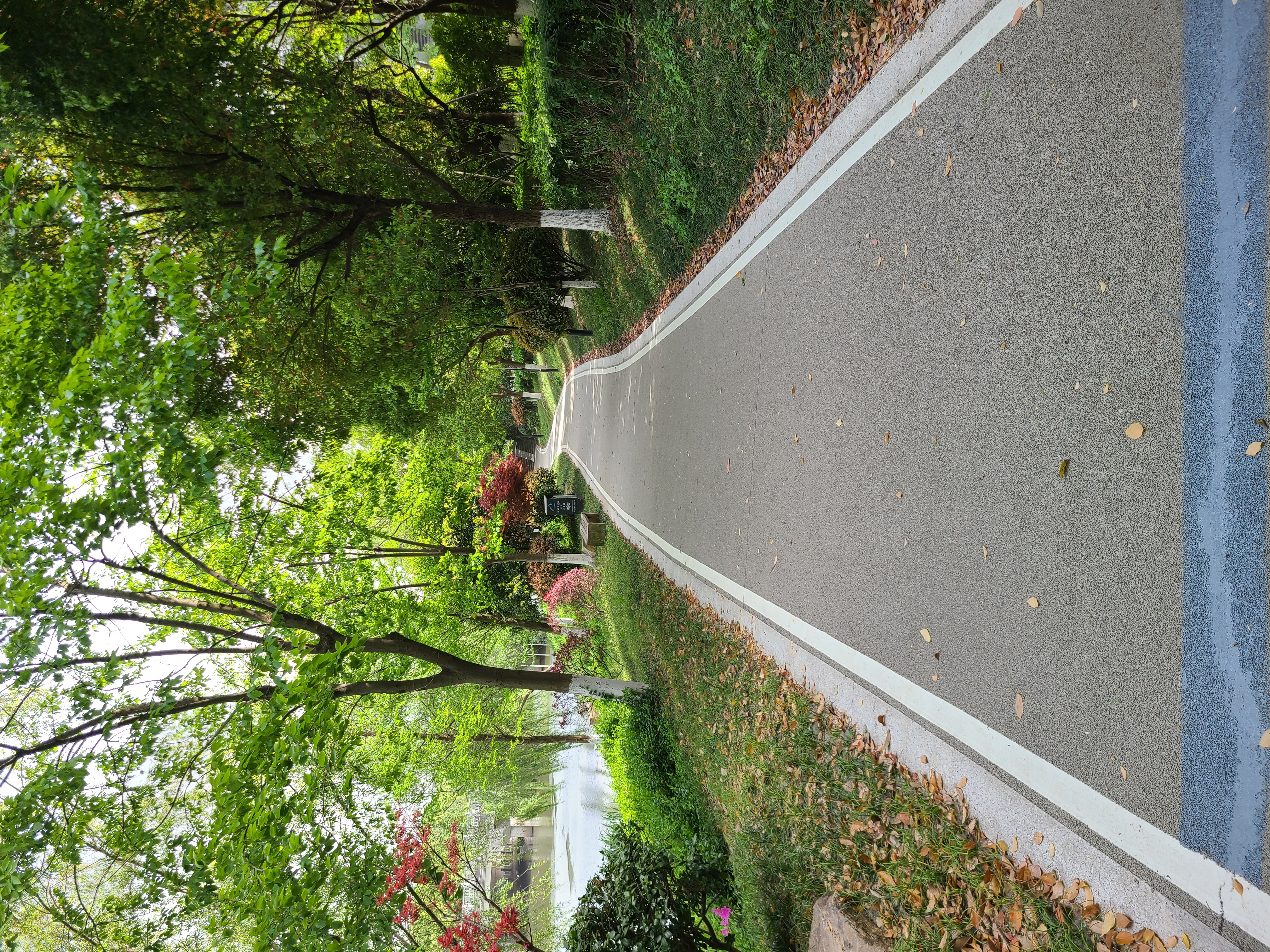 20230412_140939.jpg