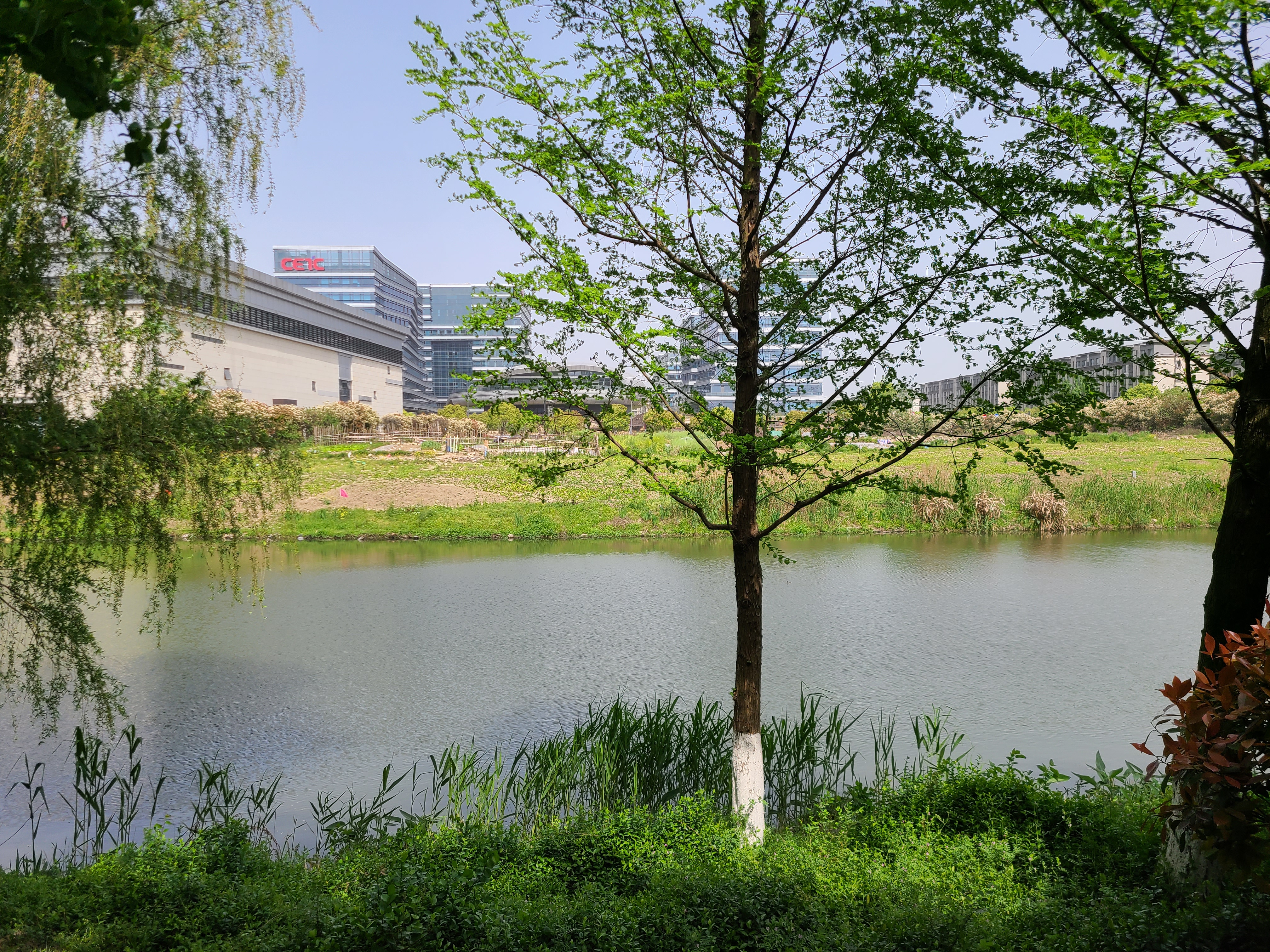20230412_141006.jpg